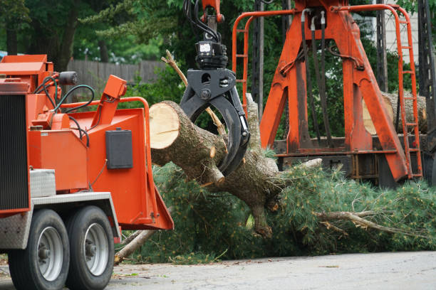 Best Lot and Land Clearing  in Vandalia, MO